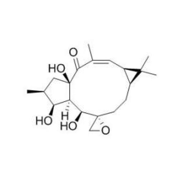 环氧续随子醇 CAS:28649-60-7