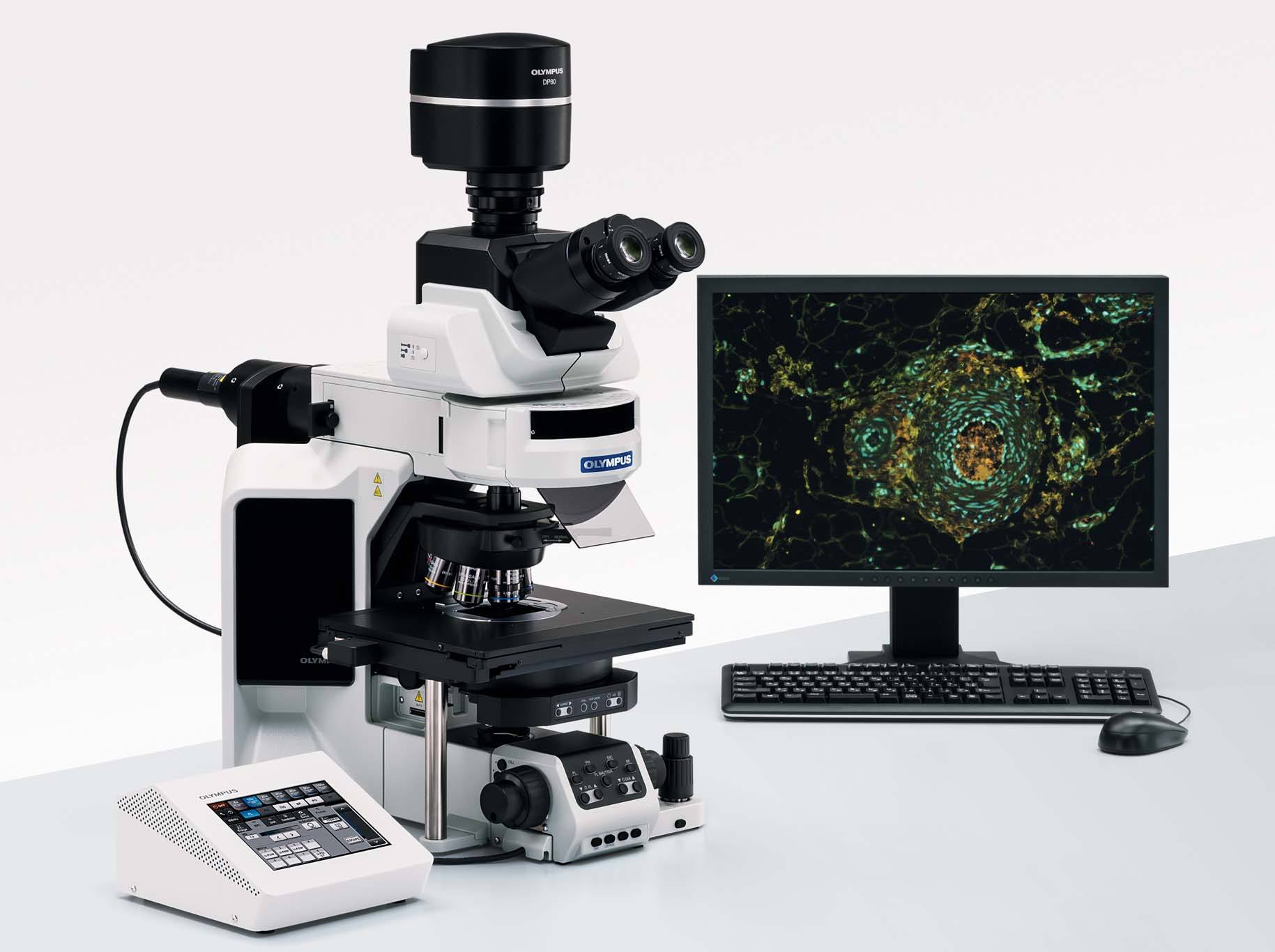 奥林巴斯全智能电动显微镜BX63