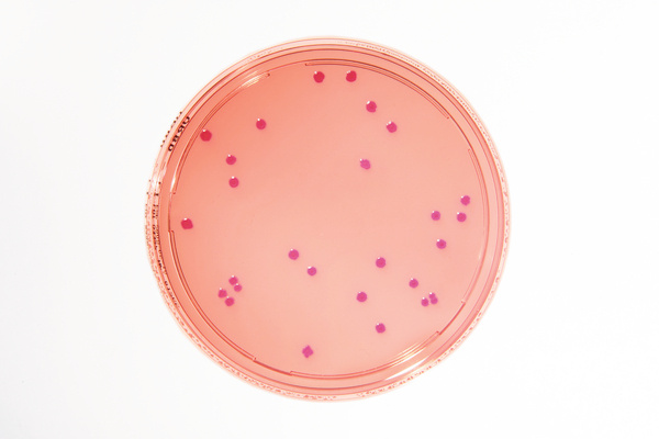 默克密理博merck结晶紫中性红胆盐葡萄糖琼脂预制1.46000.0020