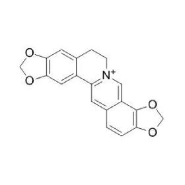 黄连碱 CAS:3486-66-6