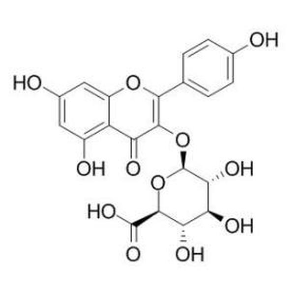 山奈酚葡萄糖醛酸苷 CAS:22688-78-4