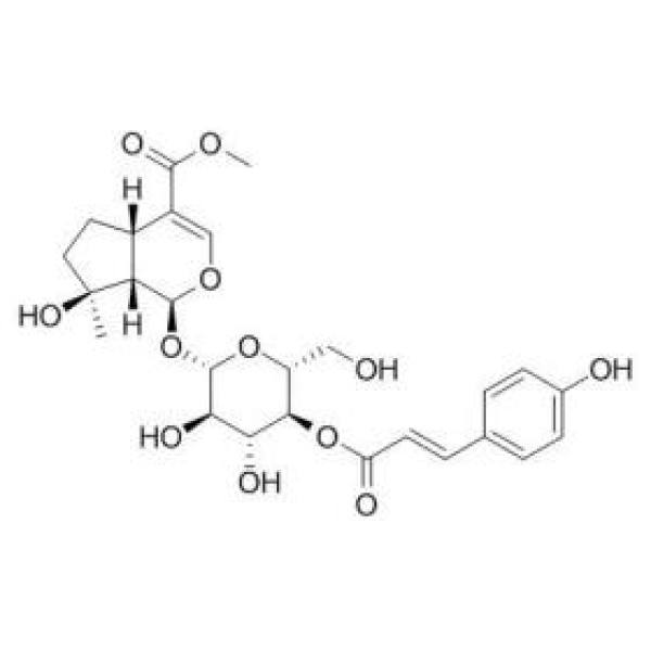 4'-O-反式对香豆酰玉叶金花甙酸甲酯 CAS:1246012-27-0
