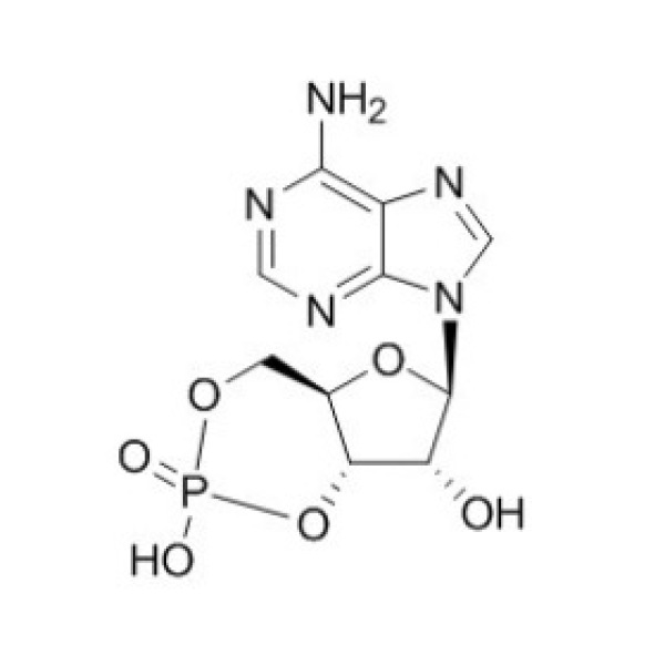 环磷腺苷CAS:60-92-4