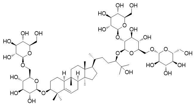 钠/钾离子转运ATP酶&#946;3肽(ATP1b3)多克隆抗体
