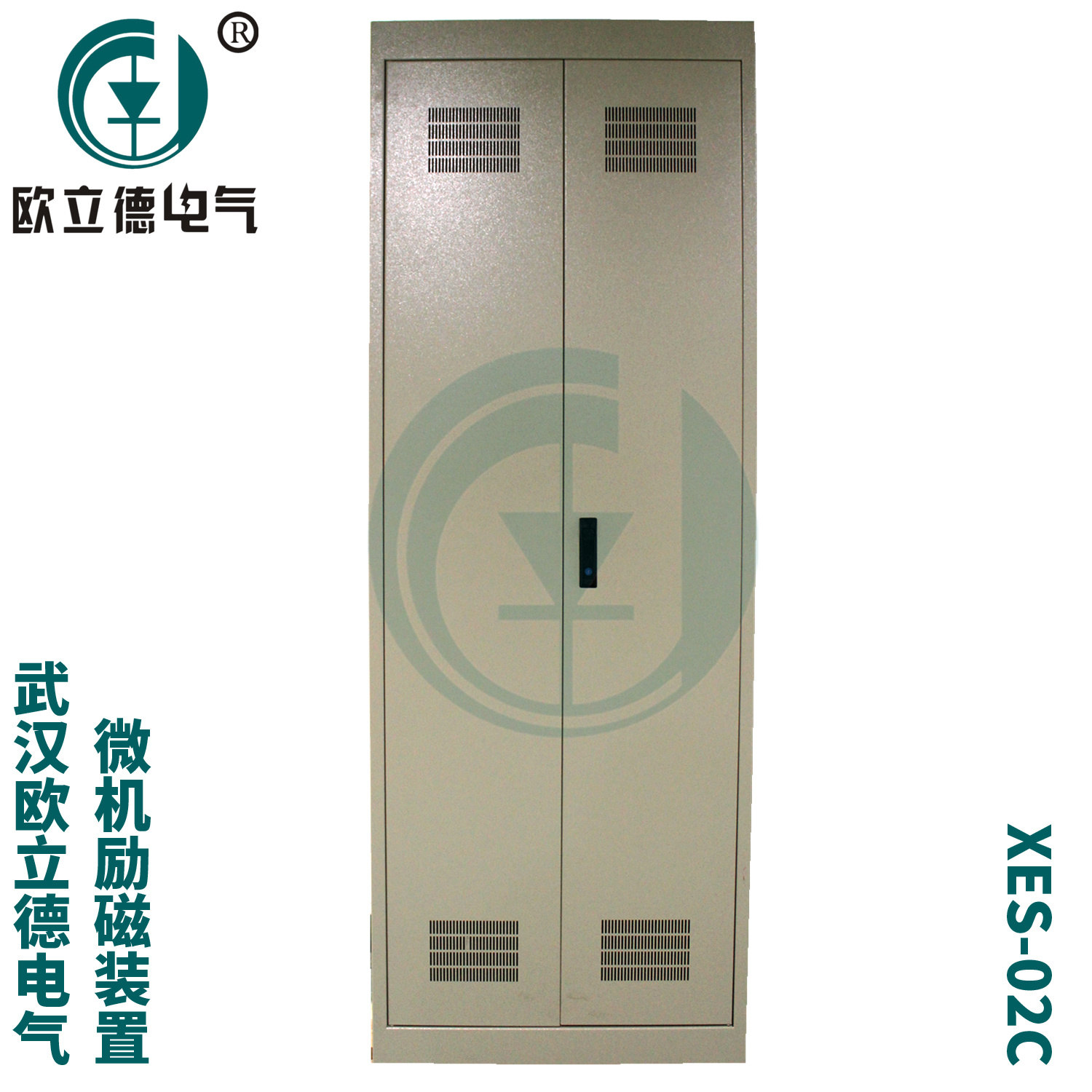 武汉欧立德XES-02C-200同步电机励磁柜