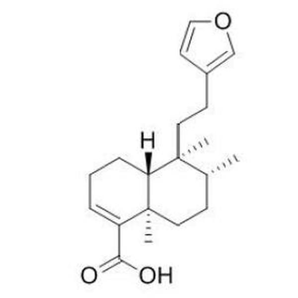 左旋哈氏豆属酸 CAS:1782-65-6