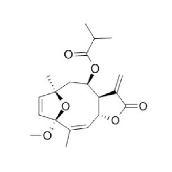 3-O-甲基圆叶肿柄菊素F CAS:110382-37-1