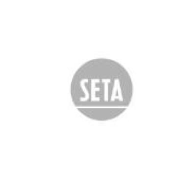 Seta 配件：柱塞密封件 Seal for Plunger | 17510-002