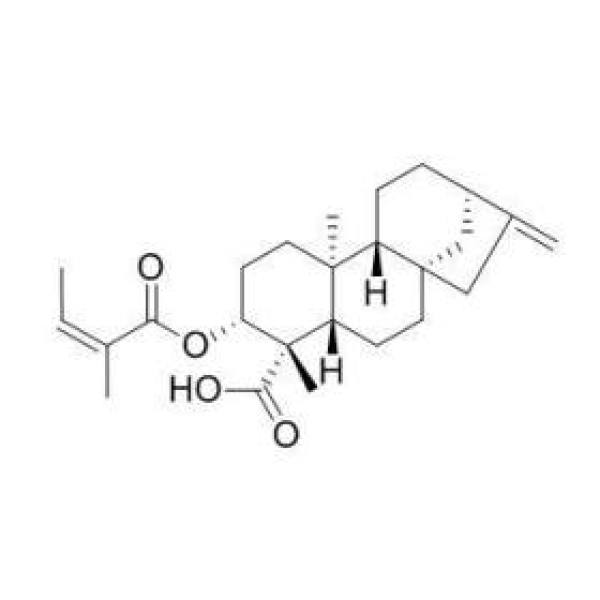 对映-3beta-当归酰基氧基-16-贝壳杉-19-烯酸 CAS:74635-61-3