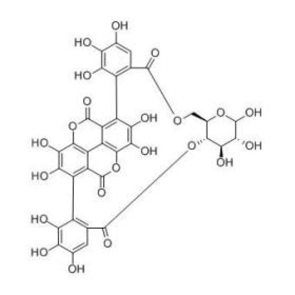 石榴皮鞣素 CAS:65995-64-4