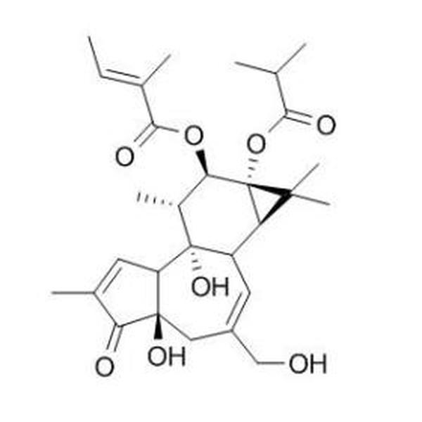 伏波酯-12-惕各酸酯-13-异丁酸酯 CAS:92214-54-5