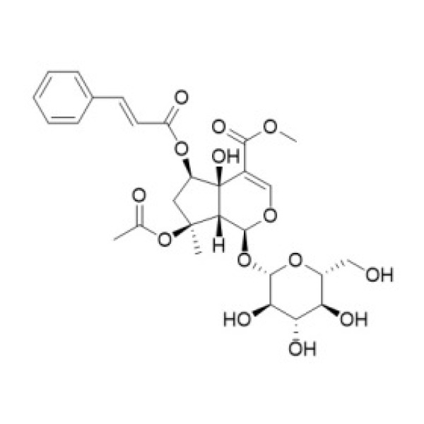 6-O-trans-Cinnamoylphlorigidoside B CAS:1246012-25-8