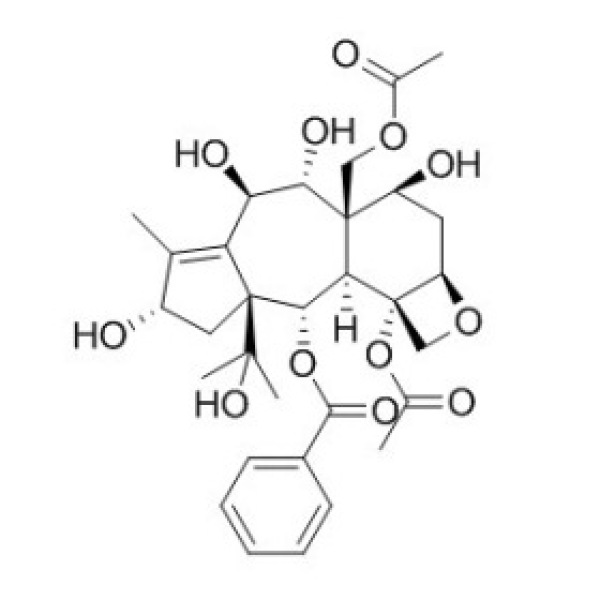 13-O-去乙酰基红豆杉醇Z CAS:220935-39-7