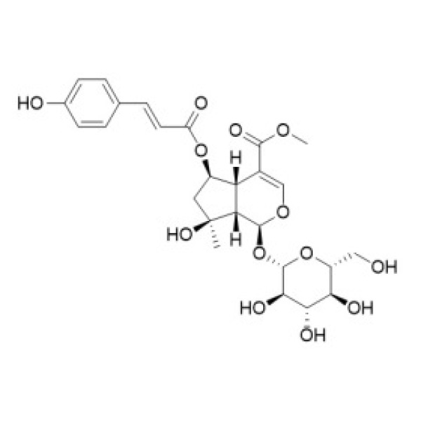 6-O-反式对香豆酰山栀苷甲酯 CAS:1246012-26-9
