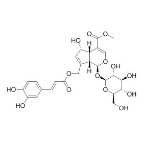 10-O-咖啡酰基-脱乙酰基交让木苷 CAS:83348-22-5