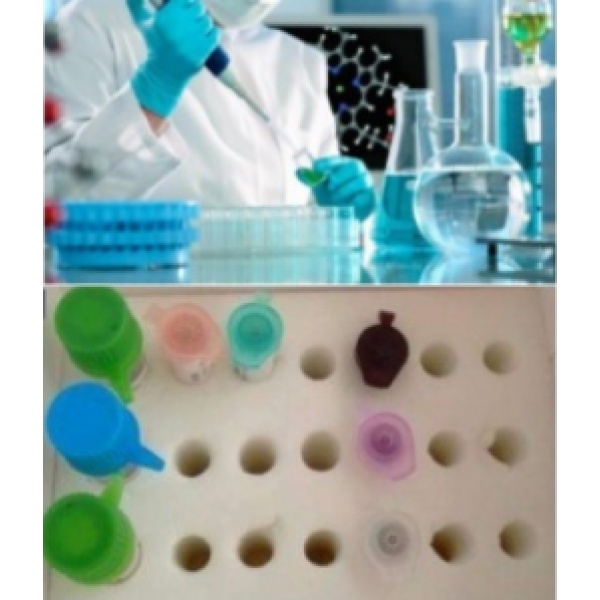 对虾黄头病毒（YHV）RNA核酸检测试剂盒（恒温荧光法）