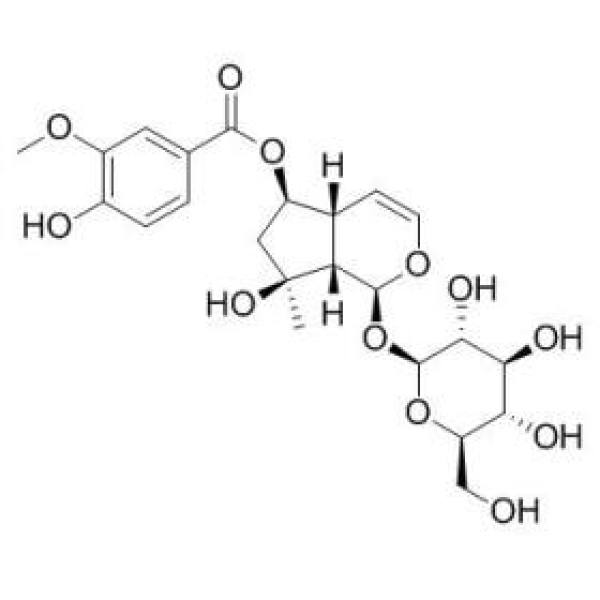 6-O-香草酰基筋骨草醇 CAS:124168-04-3