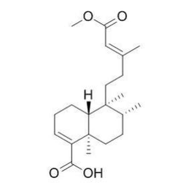 Monomethyl kolavate CAS:24513-41-5