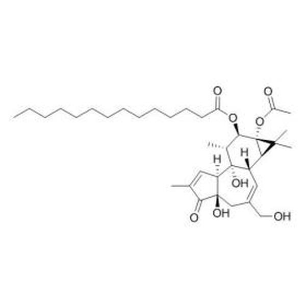 12-O-十四烷酰佛波醋酸酯-13 CAS:16561-29-8