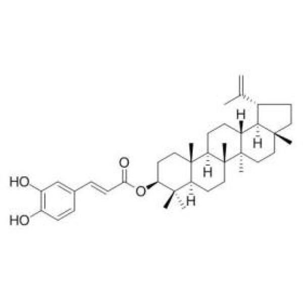 咖啡酸羽扇豆醇酯 CAS:103917-26-6