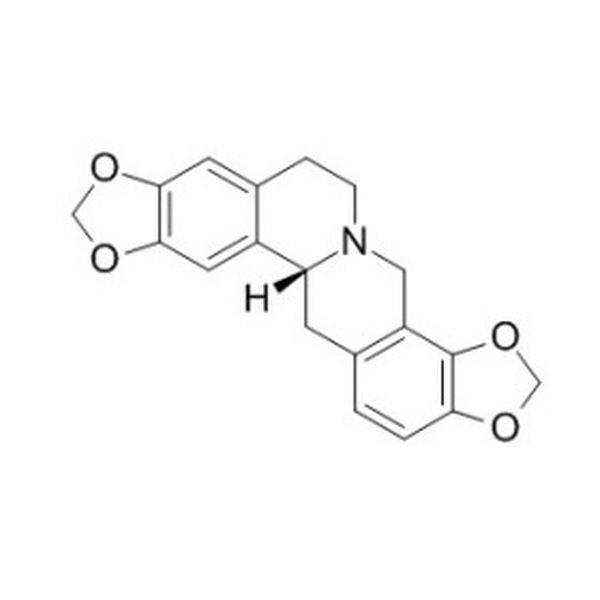 四氢黄连碱，人血草碱 CAS:7461-02-1