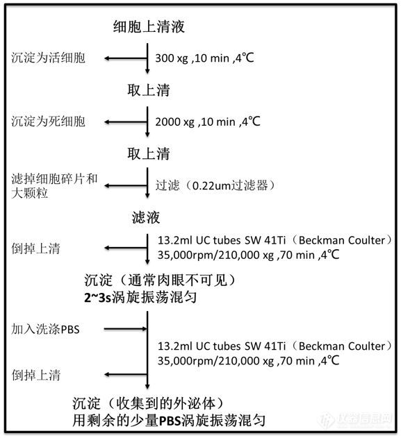  【聚焦外泌体】之从细胞培养上清液中分离外泌体的准备