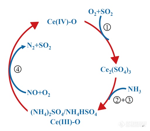 反应循环的建立确保硫酸盐的聚集与分解到达静态均衡.png