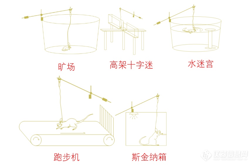 微透析与行为学结合