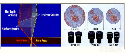 显微镜2.jpg