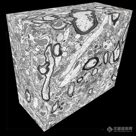 3D Tissue Imaging.png