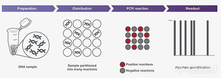 数字PCR原理.jpg