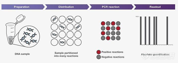 生物学腾飞的三十年 ▏从“公路灵感”到数字PCR