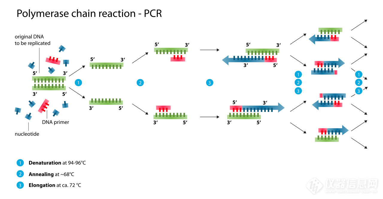 生物学腾飞的三十年 ▏从“公路灵感”到数字PCR