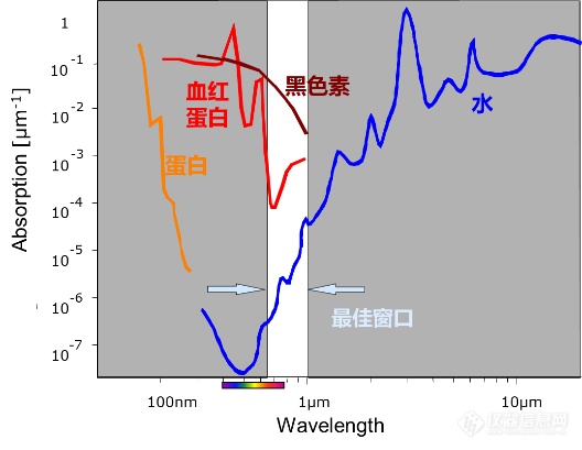 双光子显微切割系统带你领略硬组织切割的高效新玩法