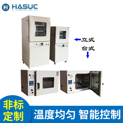 HASUC PLC-6020 可编程智能电热真空干燥箱