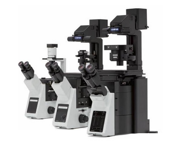 奥林巴斯IX53倒置显微镜