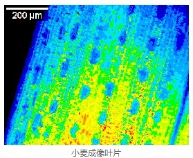 FC 800-O开放式动态荧光成像系统