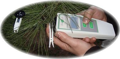 Pocket PEA 植物效率荧光仪