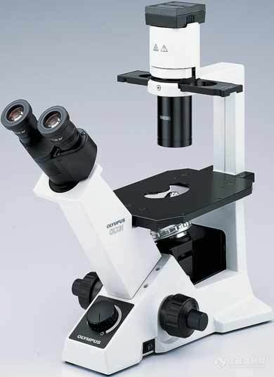 <b>奥林巴斯CKX31倒置显微镜</b>.jpg