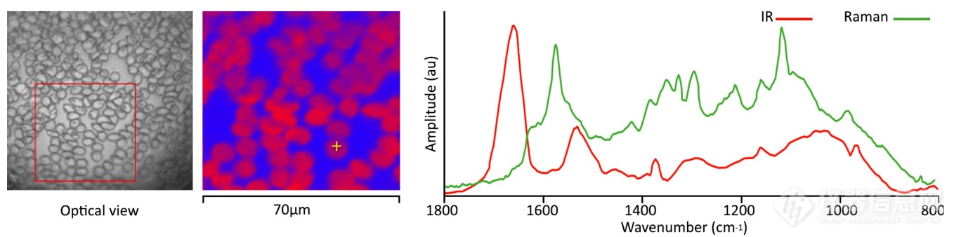 PSC发布非接触式亚微米分辨红外拉曼同步测量系统新品