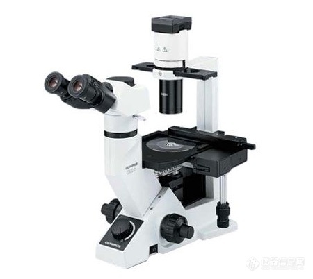 奥林巴斯CKX41倒置显微镜.jpg