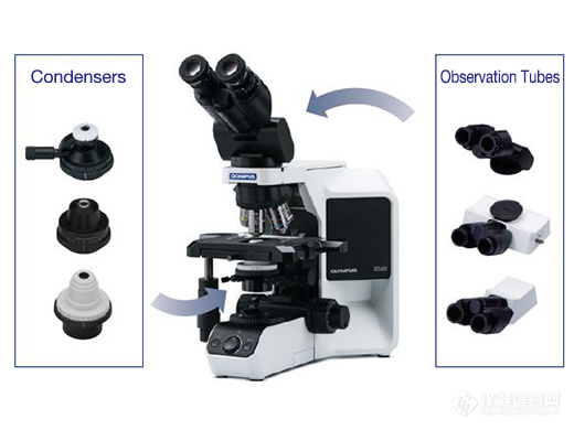 <b>奥林巴斯BX43显微镜</b>3.jpg