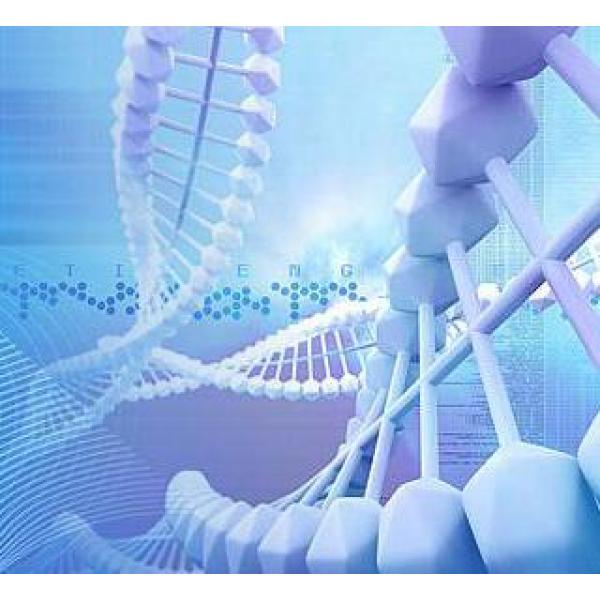 Prescript Ⅱ RT ProMix For qPCR