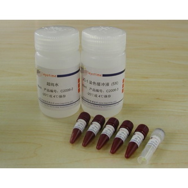 荧光PCR专用模板稀释液