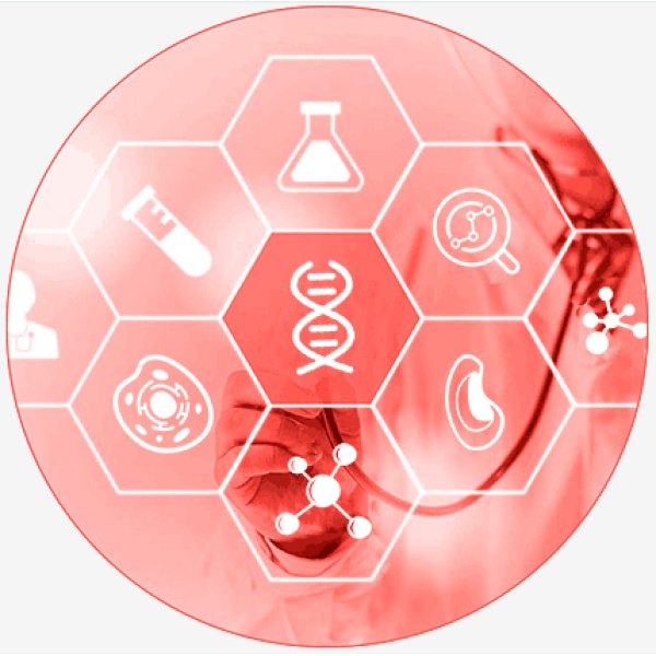 Exosome-Free FBS 无外泌体胎牛血清 适用于外泌体研究 50ml