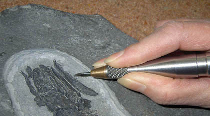 美国paleoTools  JACK化石修复气动针