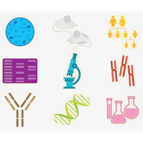 随机引物法DNA探针生物素标记试剂盒