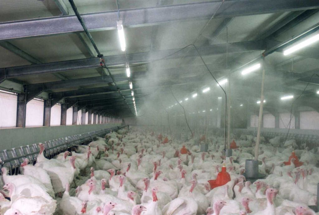 养殖喷雾除臭加湿器 鸡舍专用加湿设备