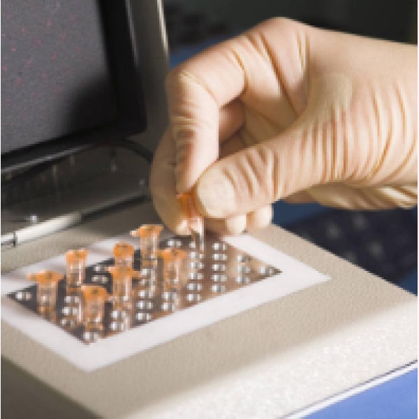随机引物法DNA探针标记试剂盒