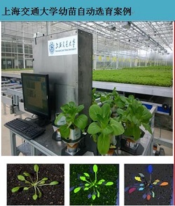 DJ-PG0植物表型与生长参数协同监测系统
